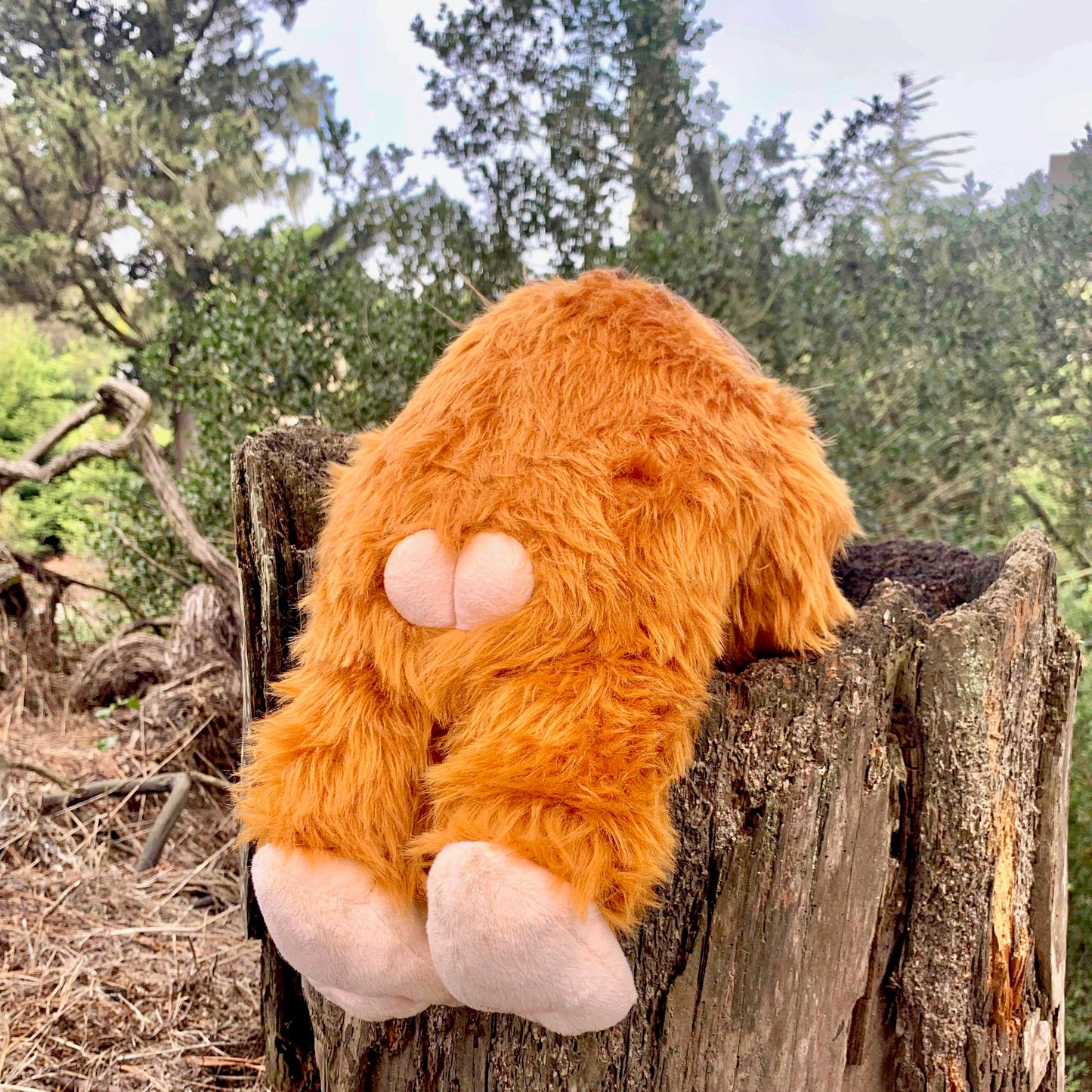 Bigfoot cryptid plushie from classic American folklore and cryptozoology