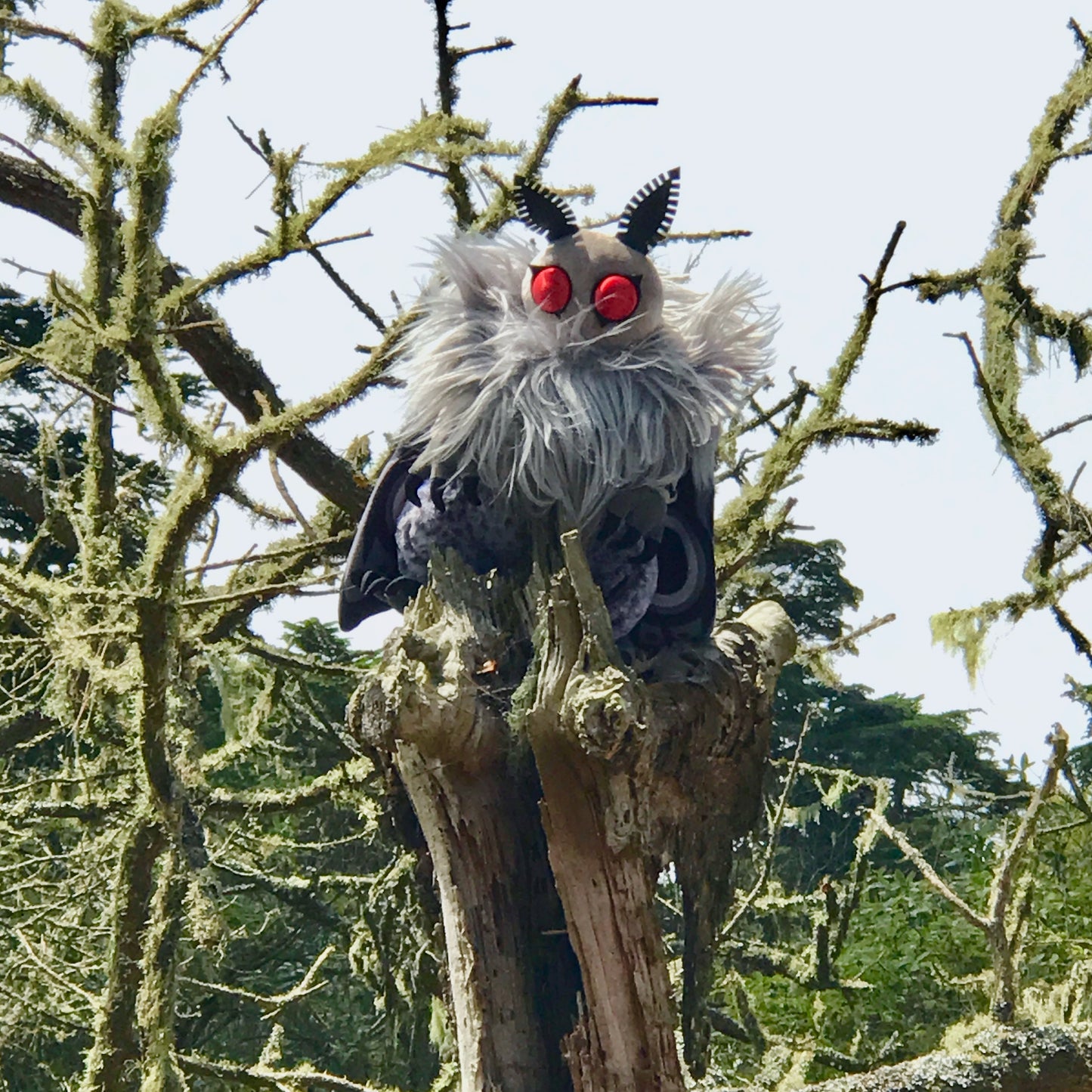 Mothman cryptid plushie from classic American folklore and cryptozoology